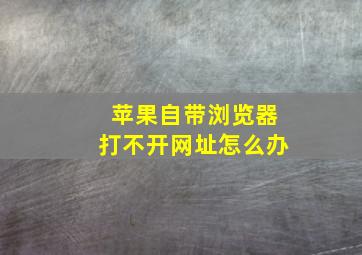 苹果自带浏览器打不开网址怎么办