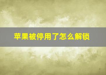 苹果被停用了怎么解锁