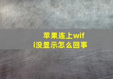 苹果连上wifi没显示怎么回事