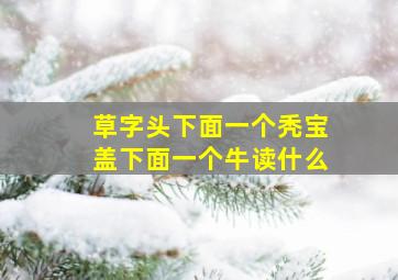 草字头下面一个秃宝盖下面一个牛读什么