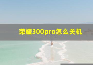 荣耀300pro怎么关机