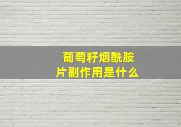 葡萄籽烟酰胺片副作用是什么