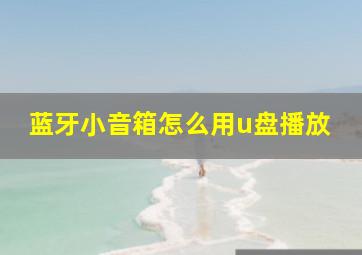 蓝牙小音箱怎么用u盘播放