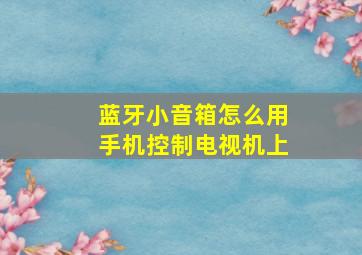 蓝牙小音箱怎么用手机控制电视机上