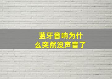 蓝牙音响为什么突然没声音了