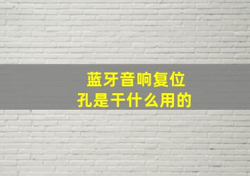 蓝牙音响复位孔是干什么用的