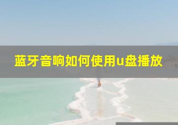 蓝牙音响如何使用u盘播放