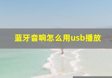 蓝牙音响怎么用usb播放