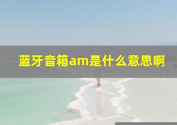 蓝牙音箱am是什么意思啊