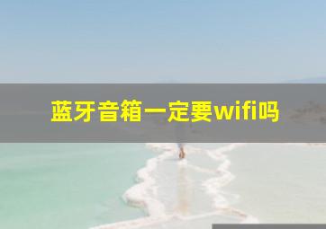 蓝牙音箱一定要wifi吗