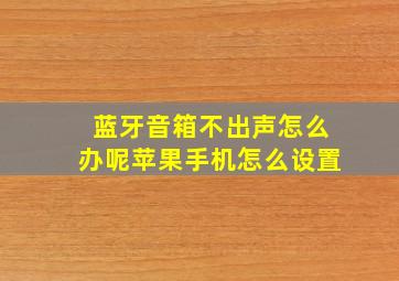 蓝牙音箱不出声怎么办呢苹果手机怎么设置