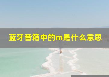 蓝牙音箱中的m是什么意思