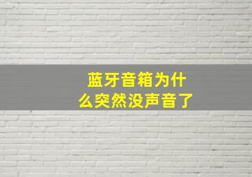 蓝牙音箱为什么突然没声音了