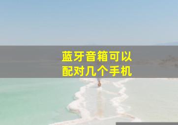 蓝牙音箱可以配对几个手机