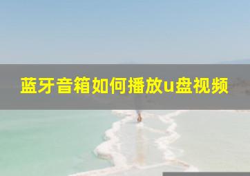 蓝牙音箱如何播放u盘视频