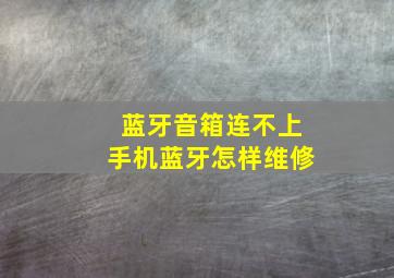 蓝牙音箱连不上手机蓝牙怎样维修