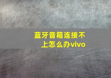 蓝牙音箱连接不上怎么办vivo