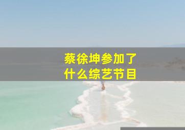 蔡徐坤参加了什么综艺节目