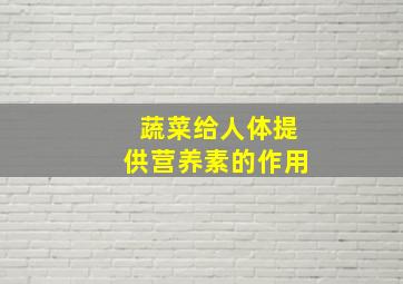 蔬菜给人体提供营养素的作用