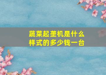 蔬菜起垄机是什么样式的多少钱一台