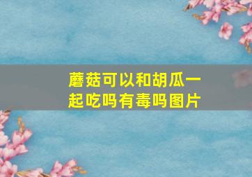 蘑菇可以和胡瓜一起吃吗有毒吗图片