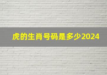 虎的生肖号码是多少2024