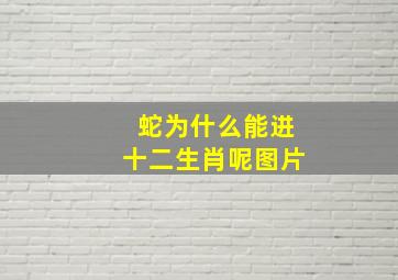 蛇为什么能进十二生肖呢图片