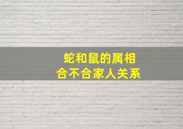 蛇和鼠的属相合不合家人关系