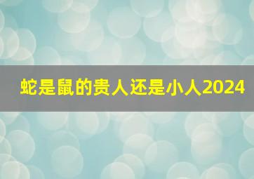 蛇是鼠的贵人还是小人2024