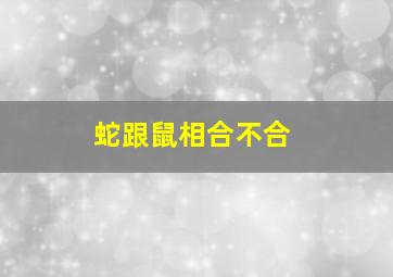 蛇跟鼠相合不合