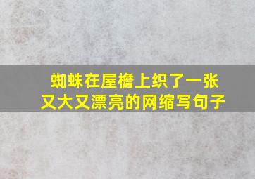 蜘蛛在屋檐上织了一张又大又漂亮的网缩写句子