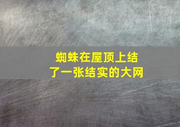 蜘蛛在屋顶上结了一张结实的大网