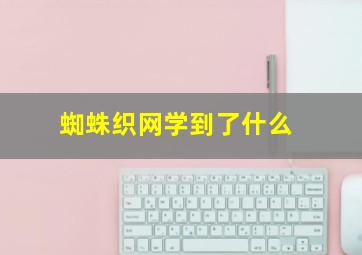 蜘蛛织网学到了什么