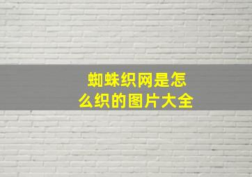 蜘蛛织网是怎么织的图片大全