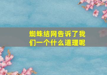 蜘蛛结网告诉了我们一个什么道理呢