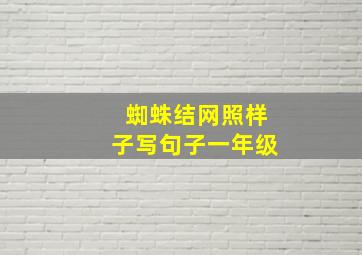 蜘蛛结网照样子写句子一年级