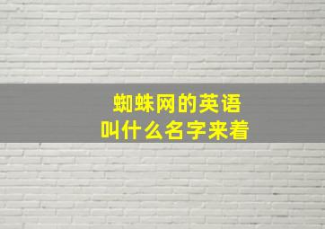 蜘蛛网的英语叫什么名字来着