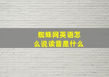 蜘蛛网英语怎么说读音是什么