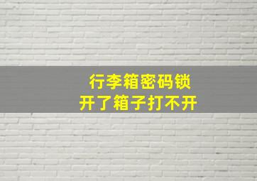 行李箱密码锁开了箱子打不开