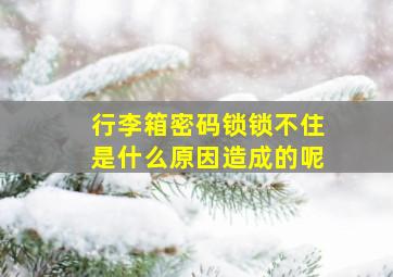 行李箱密码锁锁不住是什么原因造成的呢