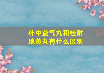 补中益气丸和桂附地黄丸有什么区别