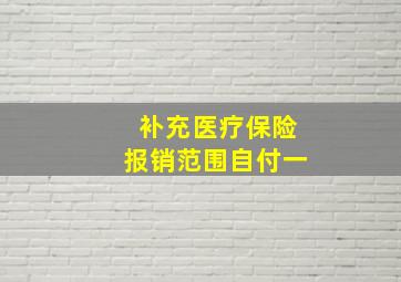 补充医疗保险报销范围自付一