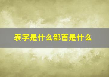 表字是什么部首是什么