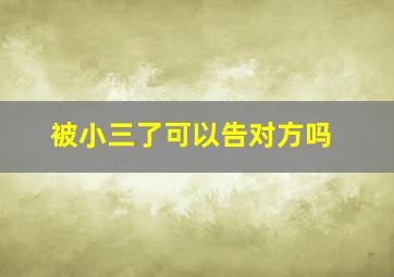 被小三了可以告对方吗