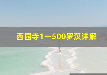 西园寺1一500罗汉详解