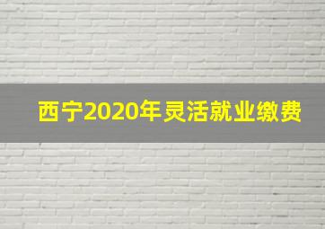 西宁2020年灵活就业缴费