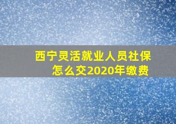 西宁灵活就业人员社保怎么交2020年缴费