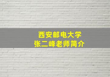 西安邮电大学张二峰老师简介