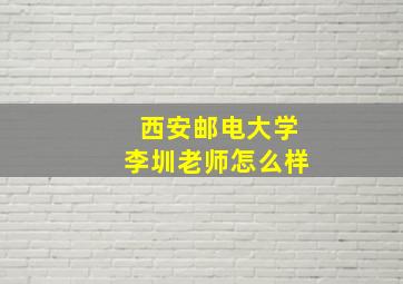 西安邮电大学李圳老师怎么样