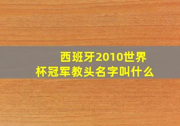 西班牙2010世界杯冠军教头名字叫什么